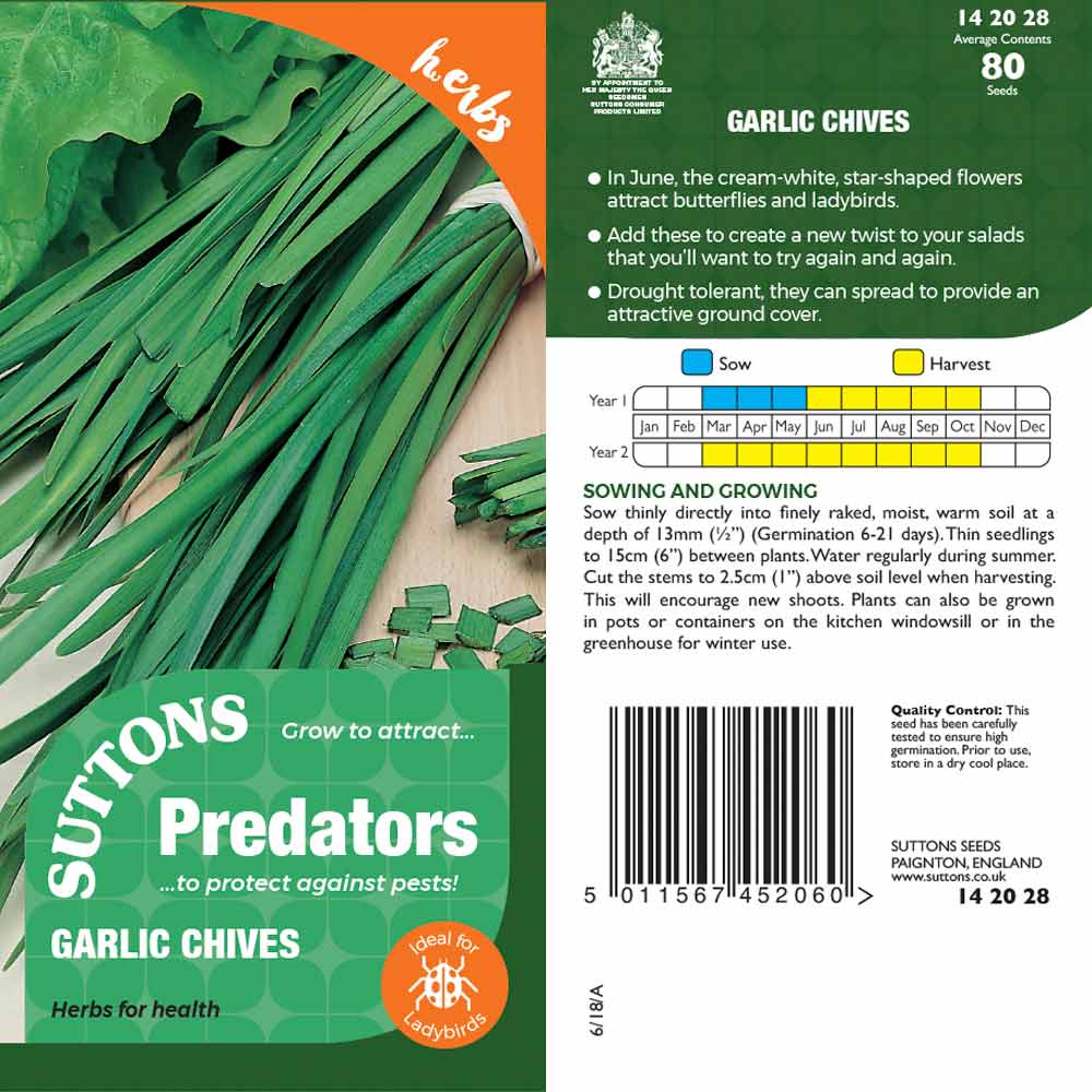 Suttons Garlic Chives Pp - Image 2