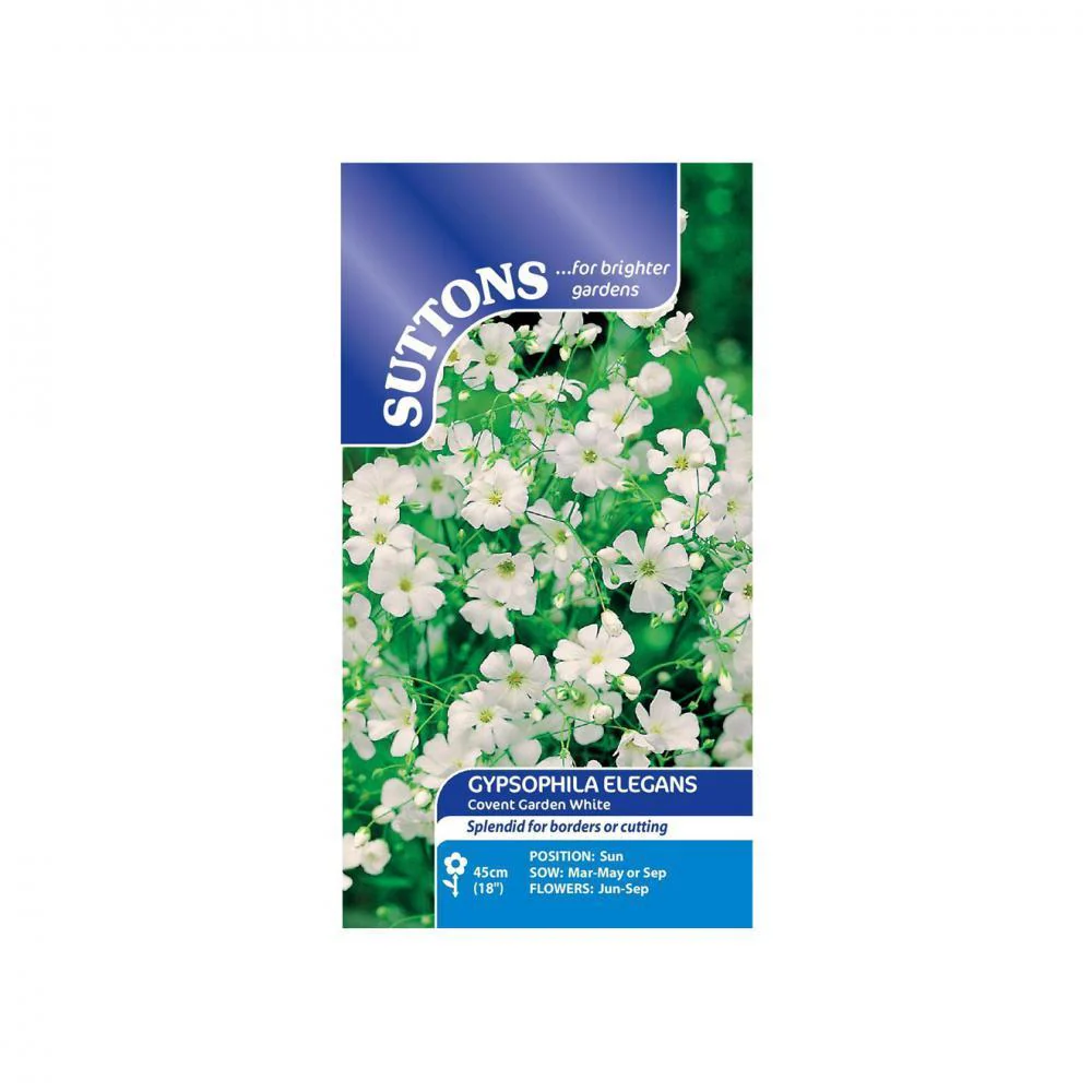 Suttons Gypsophila Covent Garden White 117039