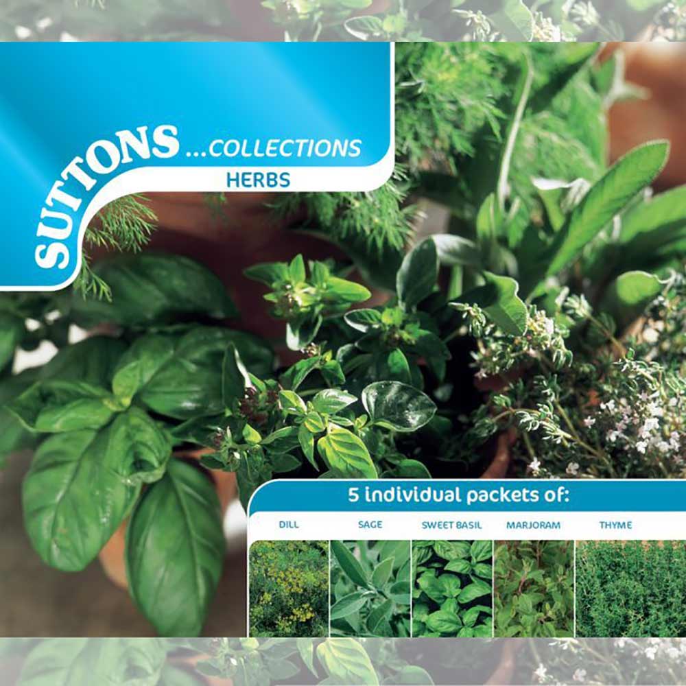 Suttons Herb Collection 185351 - Image 2