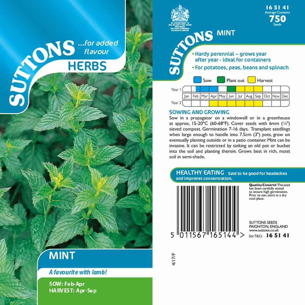 Suttons Herb Mint 165141 - Image 2