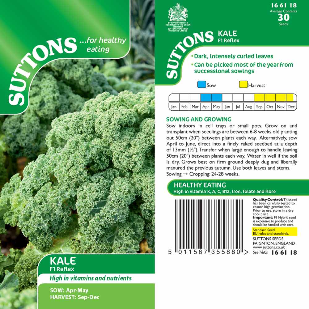 Suttons Kale Reflex F1 G166118