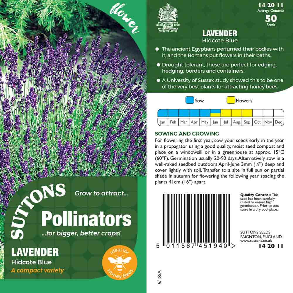 Suttons Lavender Hidcote Blue Pp - Image 2