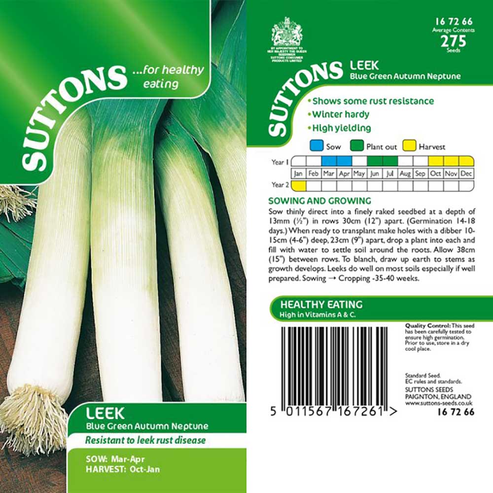 Suttons Leek Blue Green Autumn Neptune G167266 - Image 2