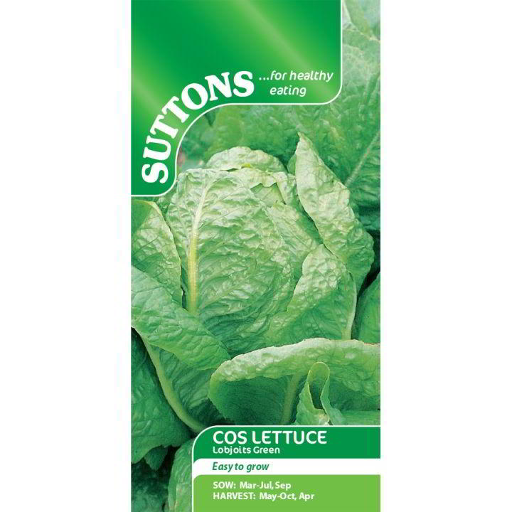 Suttons Lettuce Lobjoits Green Cos 169208