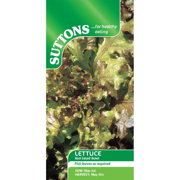 Suttons Lettuce Red Salad Bowl 168407