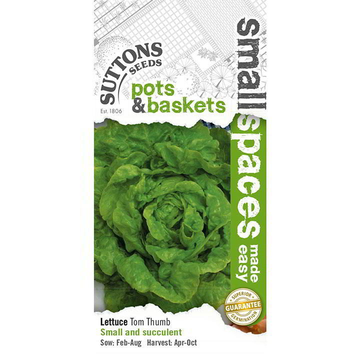 Suttons Lettuce Tom Thumb