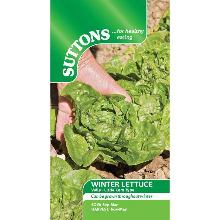 Suttons Lettuce Winter Gem 167916