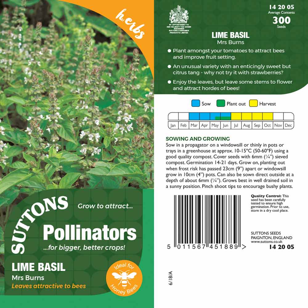 Suttons Lime Basil Mrs Burns Pp