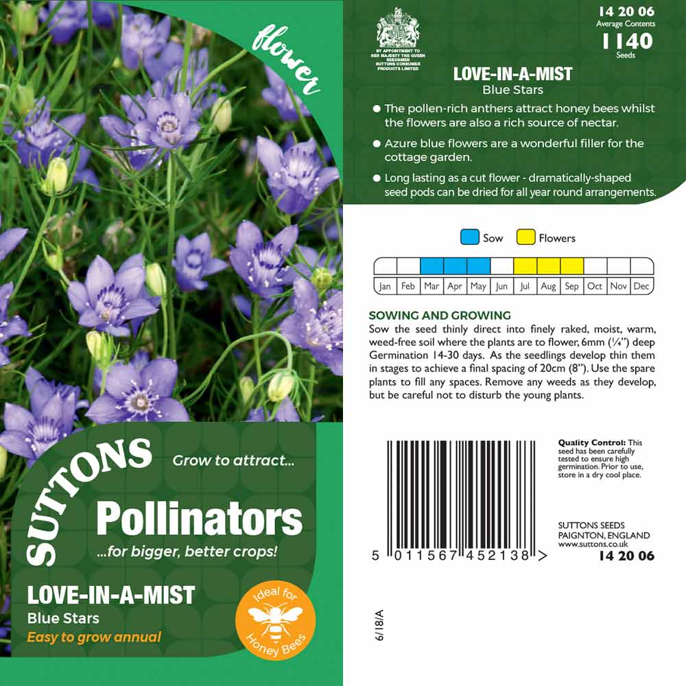 Suttons Love-In-A-Mist Bluestars Pp - Image 2