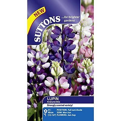 Suttons Lupinus Avalune Mix G120302