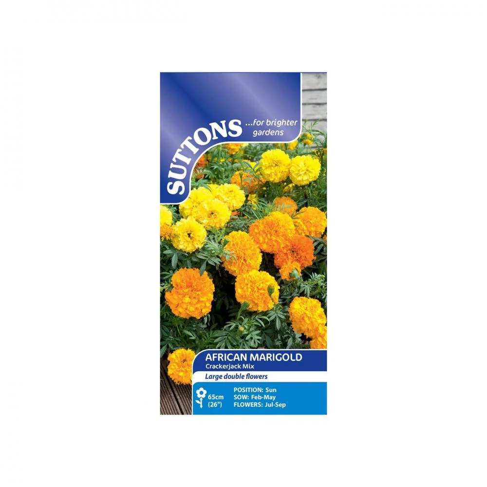 Suttons Marigold African Crackerjak Mixed 121234 - Image 2