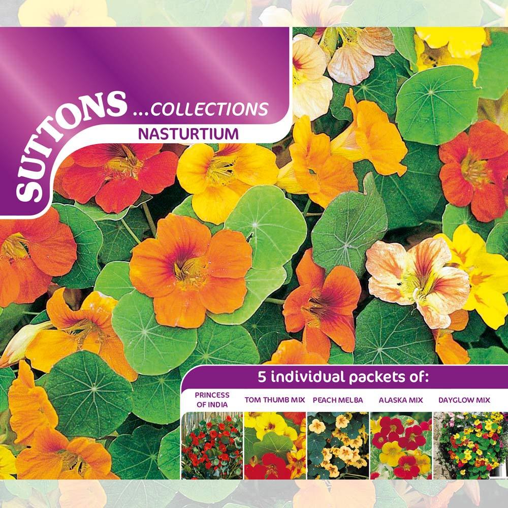 Suttons Nasturium Collection 139827