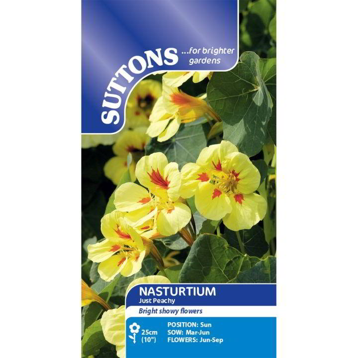 Suttons Nasturtium Peach Melba 123847