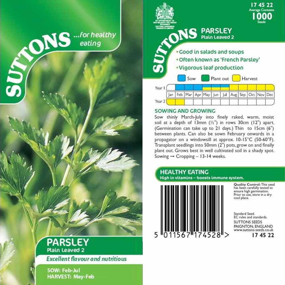Suttons Parsley Plain Leaved 174522 - Image 2