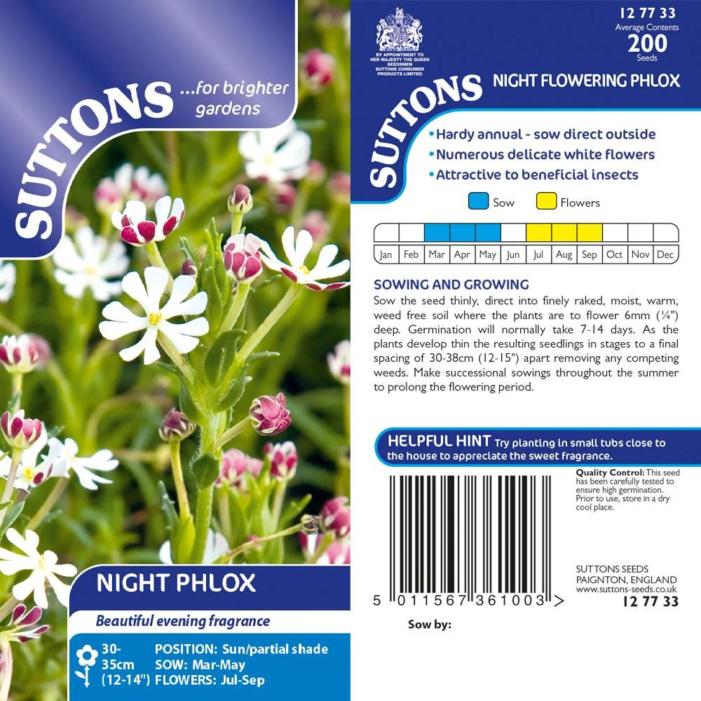 Suttons Phlox Night Flowering