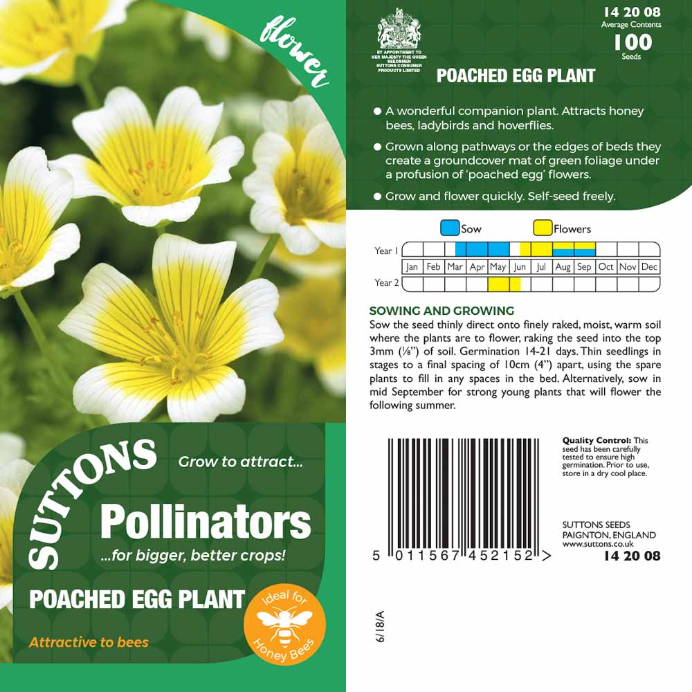 Suttons Poached Egg Plant Pp - Image 2