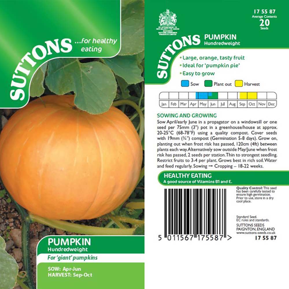 Suttons Pumpkin Hundredweight 175587
