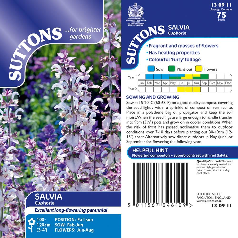 Suttons Salvia Euphoria