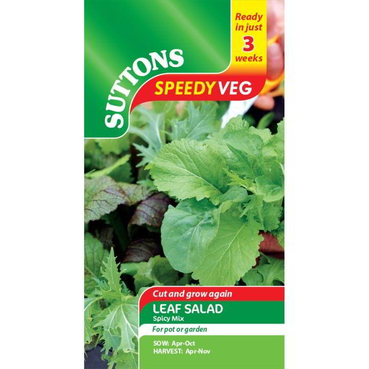 Suttons Speed Seed Leaf Salad Spicy Mix 184429
