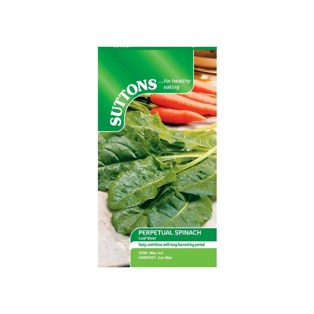 Suttons Spinach Scenic Perpetual Leaf Beet 178435 - Image 2
