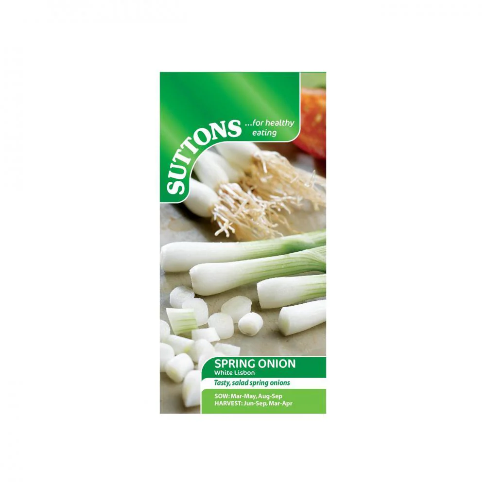 Suttons Spring Onion White Lisbon 173411