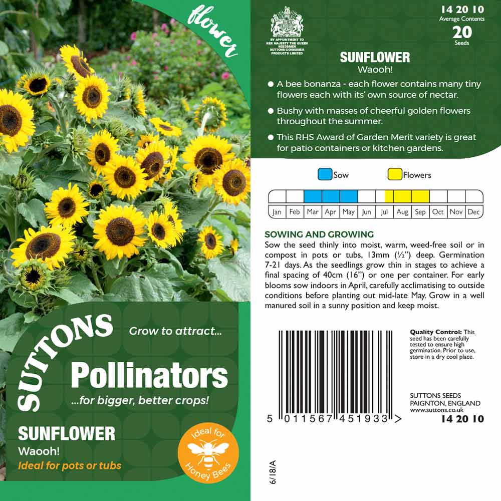 Suttons Sunflower Waooh! Pp
