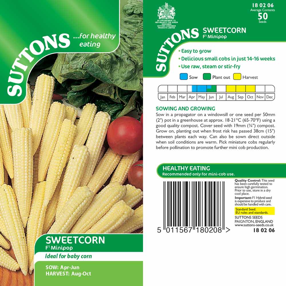 Suttons Sweet Corn Minipop F1 G180206 - Image 2