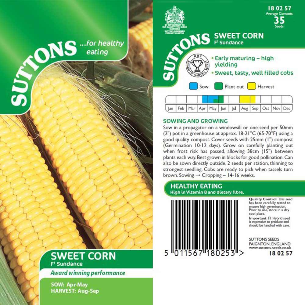 Suttons Sweet Corn Sundance F1 180257