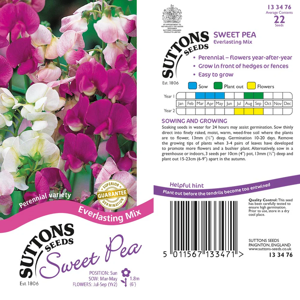 Suttons Sweet Pea Everlasting 133476 - Image 2