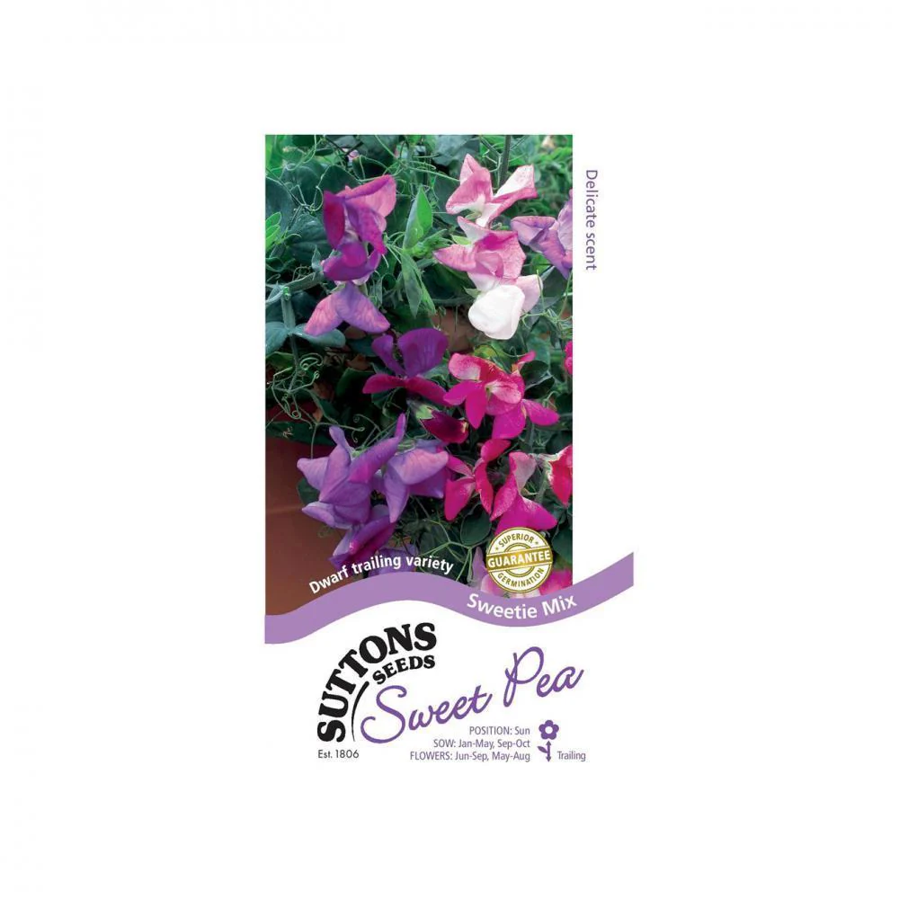 Suttons Sweet Pea Sweetie Mx 133980 - Image 2