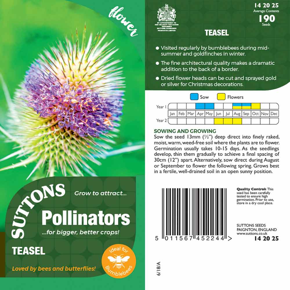 Suttons Teasel Pp
