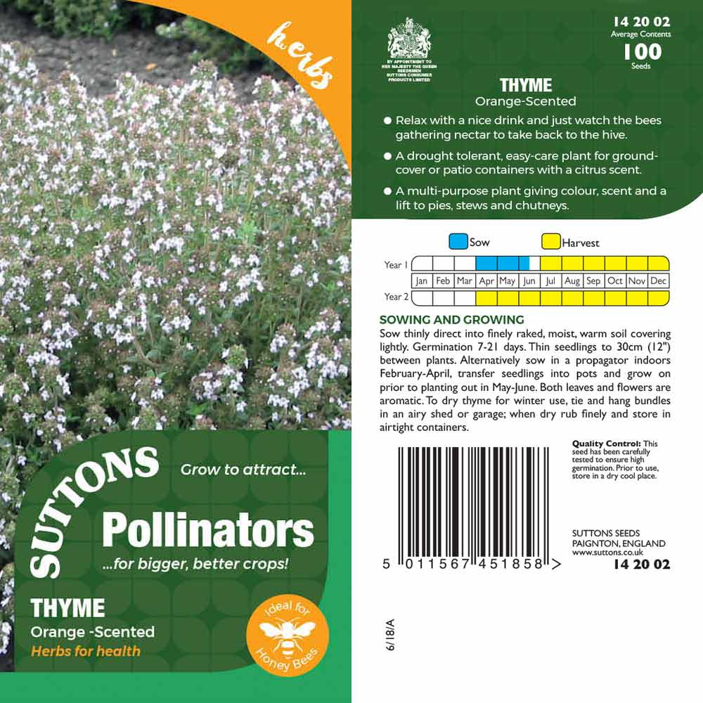 Suttons Thyme Orangescented Pp - Image 2