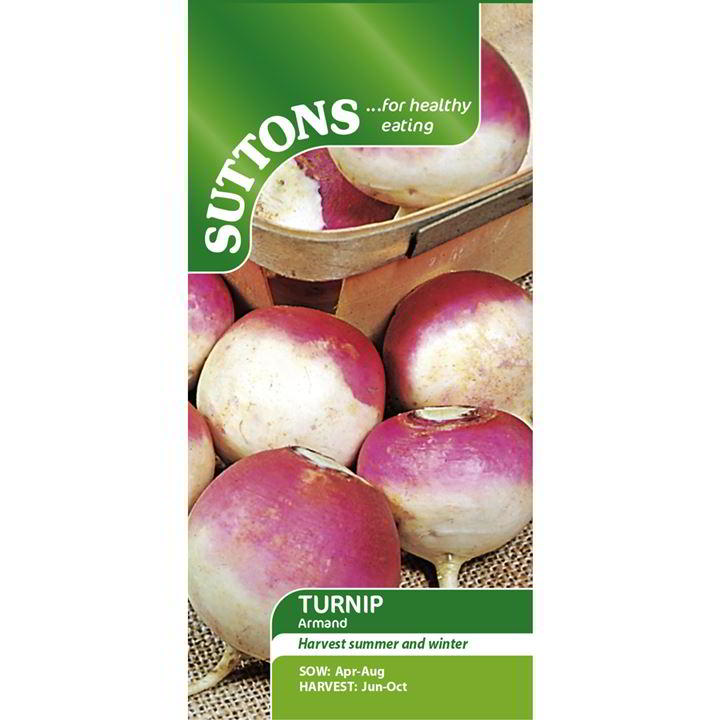 Suttons Turnip Armand 182945