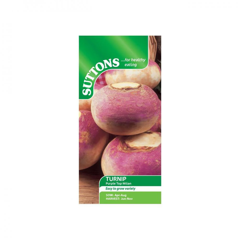 Suttons Turnip Purple Top Milan 182789