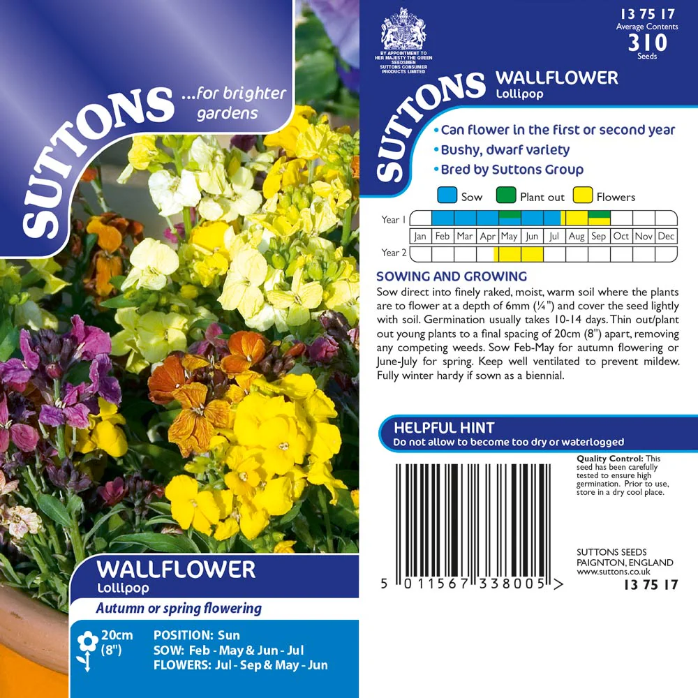 Suttons Wallflower Lollipop - Image 2