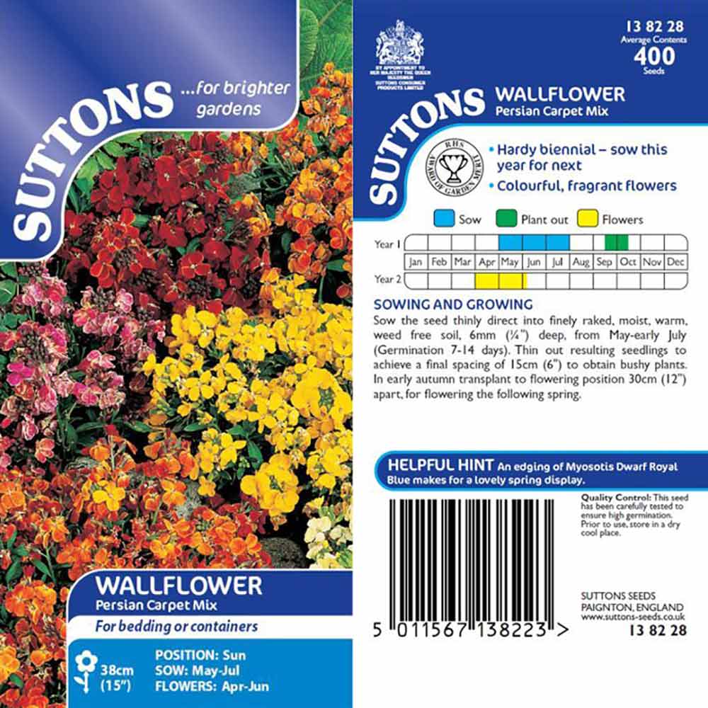 Suttons Wallflower Persian Carpet 138228 - Image 2