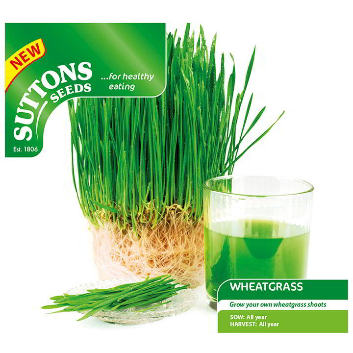 Suttons Wheatgrass Shoots G183080