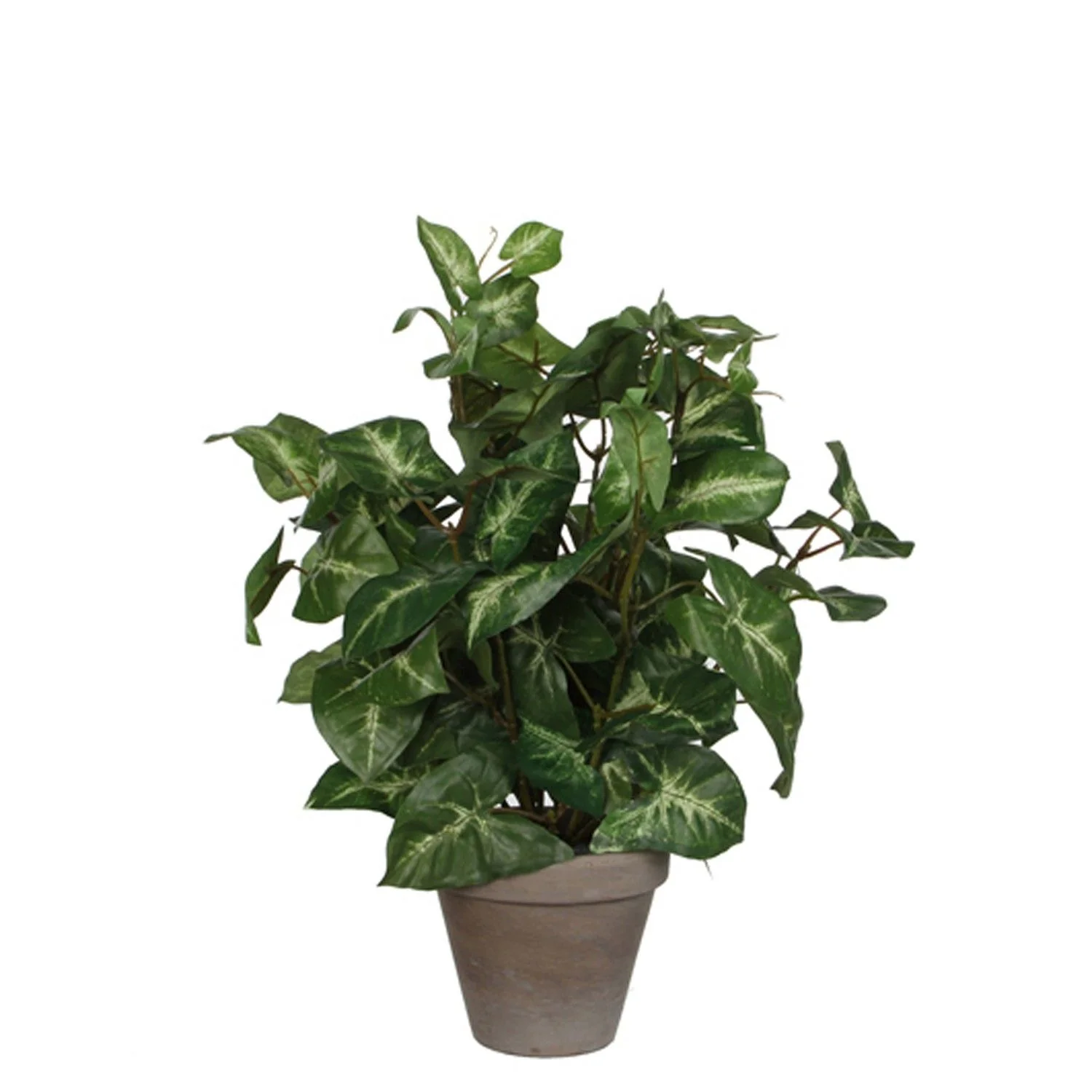 Syngonium Artificial Plant in Plant Pot H35 x Ø25cm