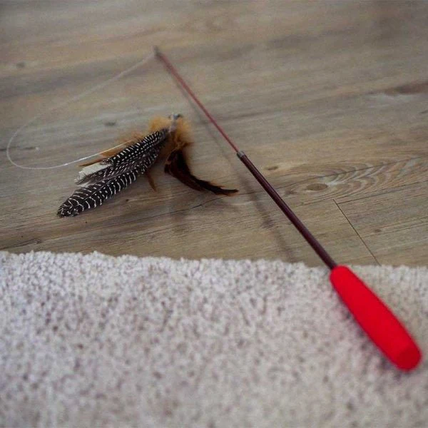 Telescopic Tickle Stick Cat Toy - Image 2