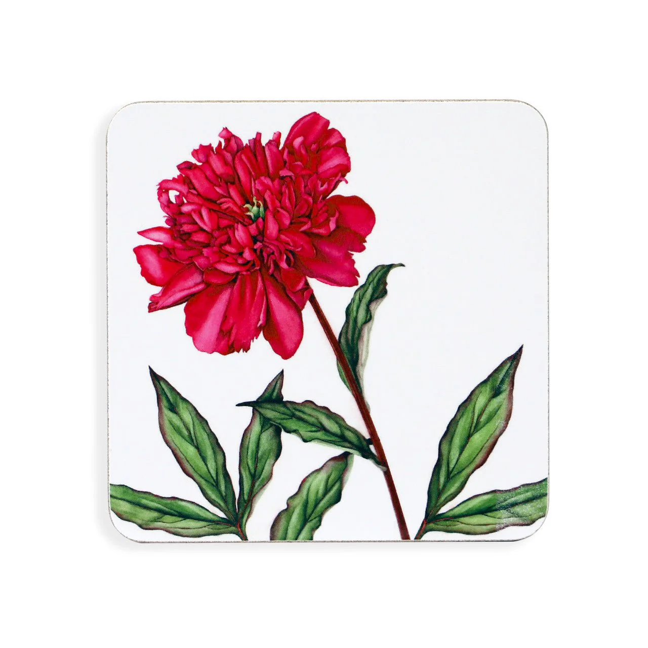 TIPPERARY CRYSTAL Botanical Studio Set of 6 Coasters