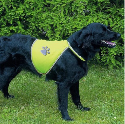 Dog Safety Vest- Small & Medium Assorted. - Image 2