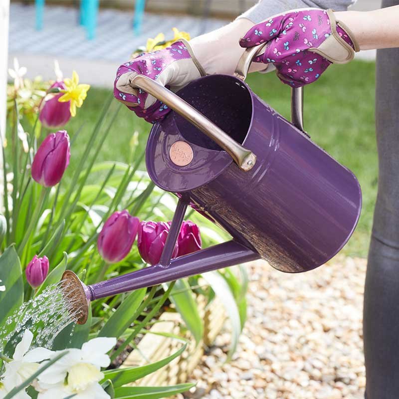 Watering Can 4.5 L – Violet - Image 2