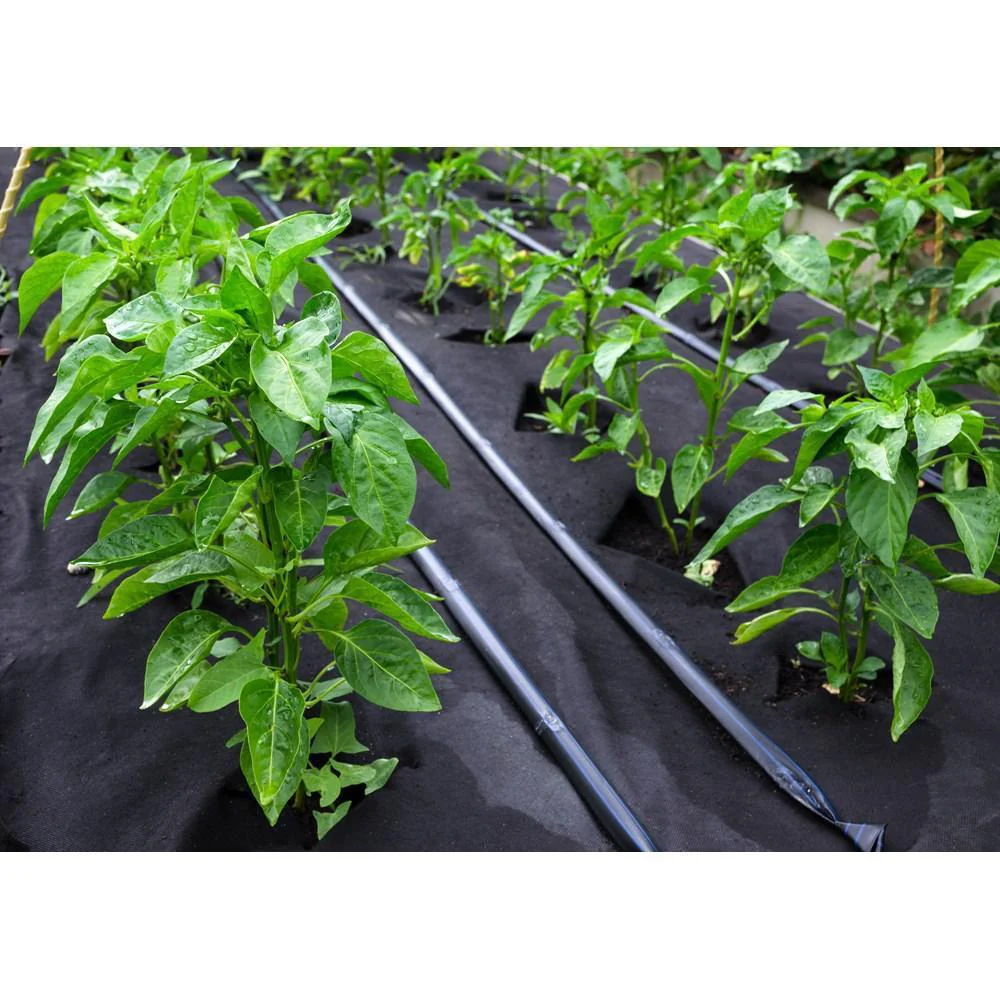 Weed Control Woven Fabric 120gm 2m x 50m - Image 2