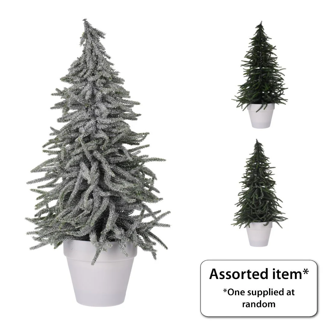 Xmas Tree in Pot 58cm